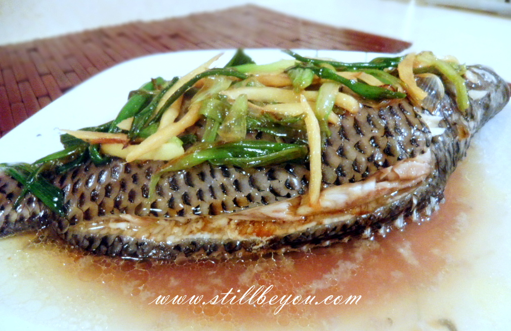 simple steamed tilapia recipe